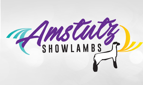 Amstutz Show Lambs