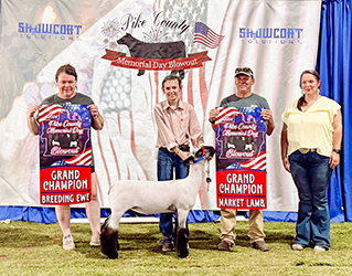 Amstutz Winners