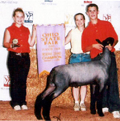 Winners