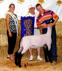 Winners